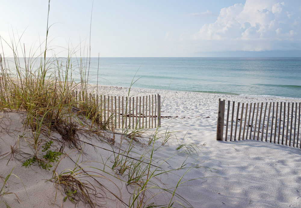 Sand Dunes