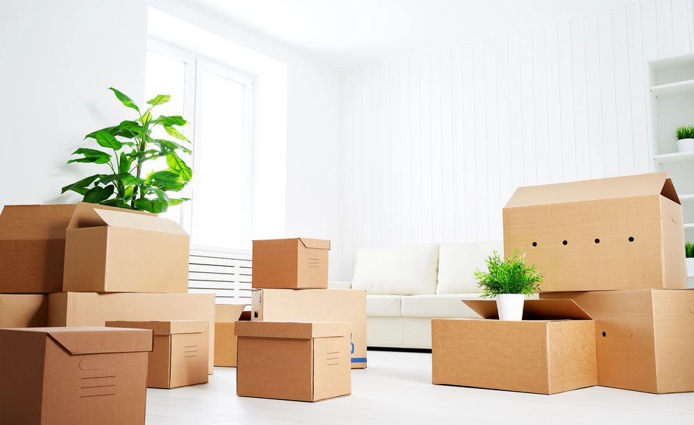 Moving boxes in a previously occupied home.
